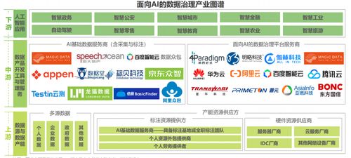 2022人工智能數(shù)據(jù)治理行業(yè) 數(shù)據(jù)處理服務(wù)為立足點，規(guī)模與受益圈日益擴大
